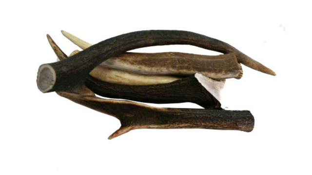 Assorted Deer Antler Chew Dog Treat large size, pet essentials warehouse
