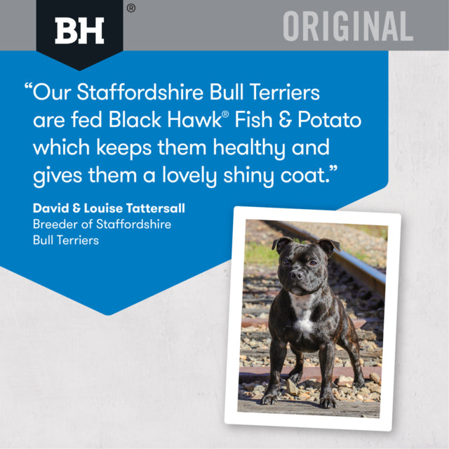 Black Hawk Original Adult Fish & Potato Dry Dog Food, Feedback from black Hawk dog food, Pet Essentials Warehouse