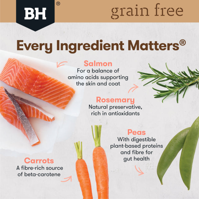 Black Hawk Grain Free Adult Salmon Dry Dog Food, Poster, Grain Free, Pet Essentials Warehouse