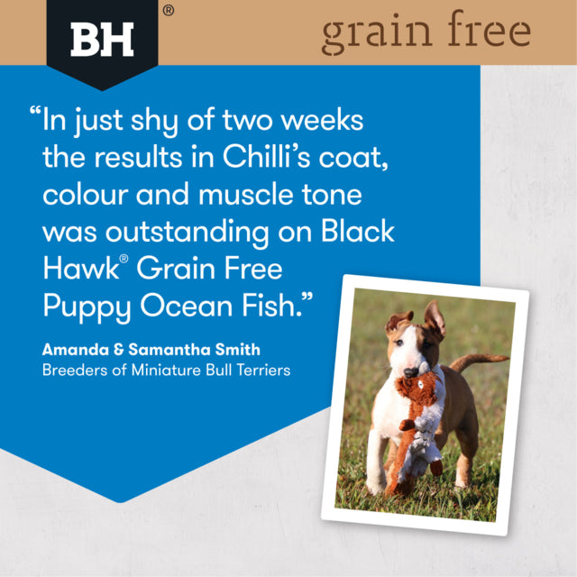 Black Hawk Grain Free Puppy Ocean Fish Dry Dog Food, Success story, Pet Essentials Warehouse