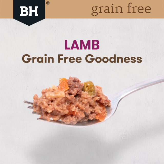 Black Hawk Grain Free Adult Lamb Canned wet food on a fork, lamb dog food, pet essentials warehouse