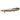 Polypterus Senegalus Bichir, Live Fish,  Bichir,  Pet Essentials Warehouse.