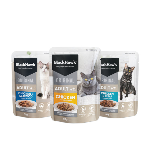 Black Hawk Original Adult Variety Box in Gravy Wet Cat Food, Variety box for cat food, Pet Essentials Warehouse