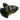 Black Widow Tetra, Live Fish,  Tetra,  Pet Essentials Warehouse.