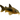 Bronze Corydoras, Live Fish,  Corydoras,  Pet Essentials Warehouse.