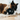 Cat Playing With P.L.A.Y. Feline Frenzy Frisky Furball Cat Toy, Toys for cats, Pet City