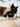 Cat Playing With P.L.A.Y. Feline Frenzy Frisky Furball Cat Toy, Toys for cats, Pet City
