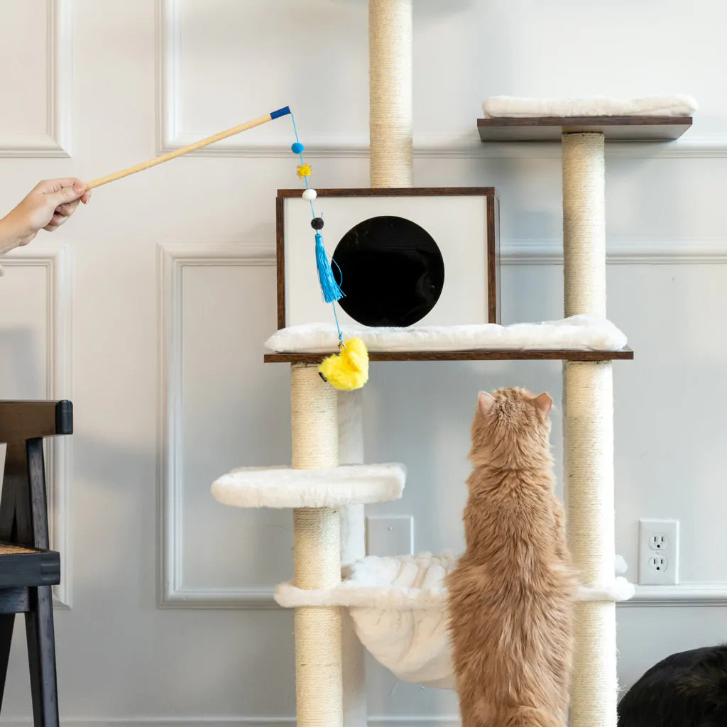 Zippy Claws Zippy Stick Bird Cat Toy, Cat playing with cat toys, Bird cat toy, Pet Essentials Warehouse