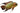 Chocolate Cichlid Adult Fish