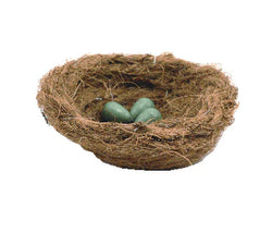 Nesting & Breeding