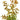 Dwarf Rotala Rotundifolia Indica, Live Plants,  Live Aquatic Plants,  Pet Essentials Warehouse.