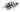 Electric Blue Jack Dempsey Cichlid, Live Fish,  American Cichlid,  Pet Essentials Warehouse.