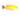 Electric Yellow African Cichlid, Live Fish,  African Cichlids,  Pet Essentials Warehouse.