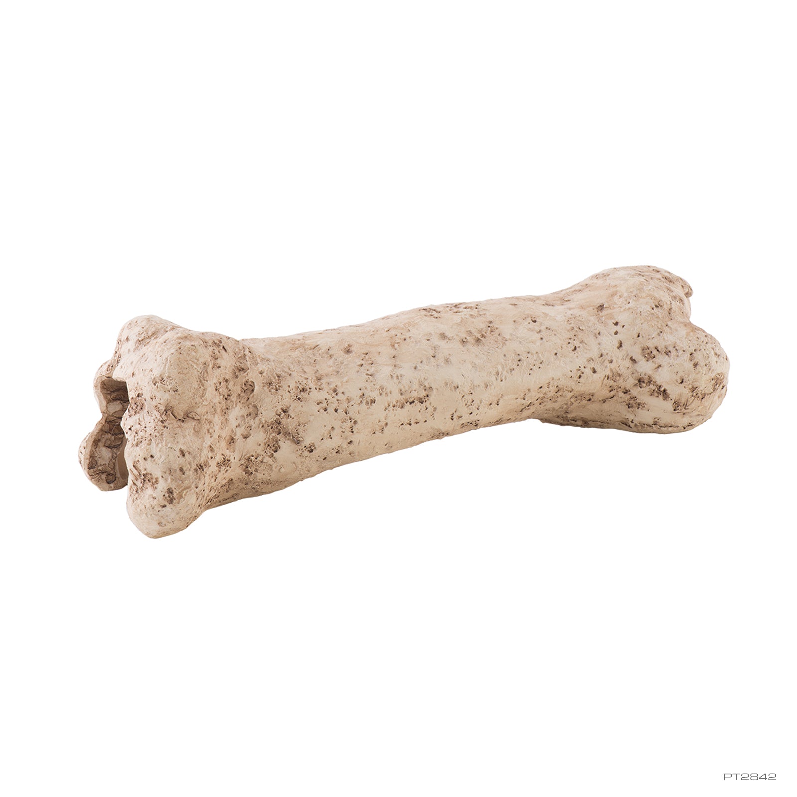 Exo Terra Dinosaur Bone Reptile Ornament, Pet Essentials Warehouse