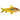 Gold Laser Corydoras, Live Fish,  Corydoras,  Pet Essentials Warehouse.