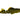 Gold Nugget Pleco, Live Fish,  Pleco,  Pet Essentials Warehouse.
