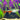 Green Fire Tetra Fish, Live Fish,  Tetra,  Pet Essentials Warehouse.