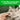 Greenies Oven Roasted Chicken Dental Cat Treats, Vet recommended, Pet Essentials Warehouse