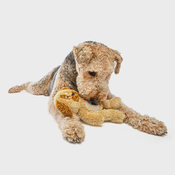 Guru Soft Scents Dog Dog Toy doing playing with, scented dog toys, Pet Essentials Warehouse