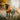 Huskimo Snow Parka Orange Dog Coat, Huskimo Coats,  Dog Coats,  Pet Essentials Warehouse.