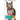 Hill's Science Diet Adult Perfect Weight Dry Cat Food, Hill's Science Diet,  Cat Food Dry,  Pet Essentials Warehouse.