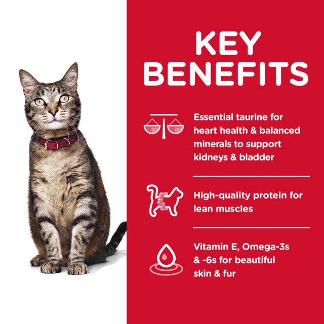 Hill's Science Diet Adult Dry Cat Food, Key Benefits, Pet Essentials Warehouse