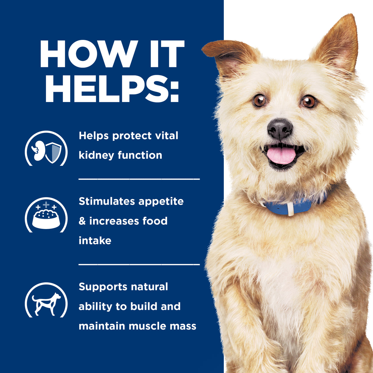 Hill's Prescription Diet k/d Kidney Care Dry Dog Food 3.85 how it helps poster, Pet Essentials Warehouse