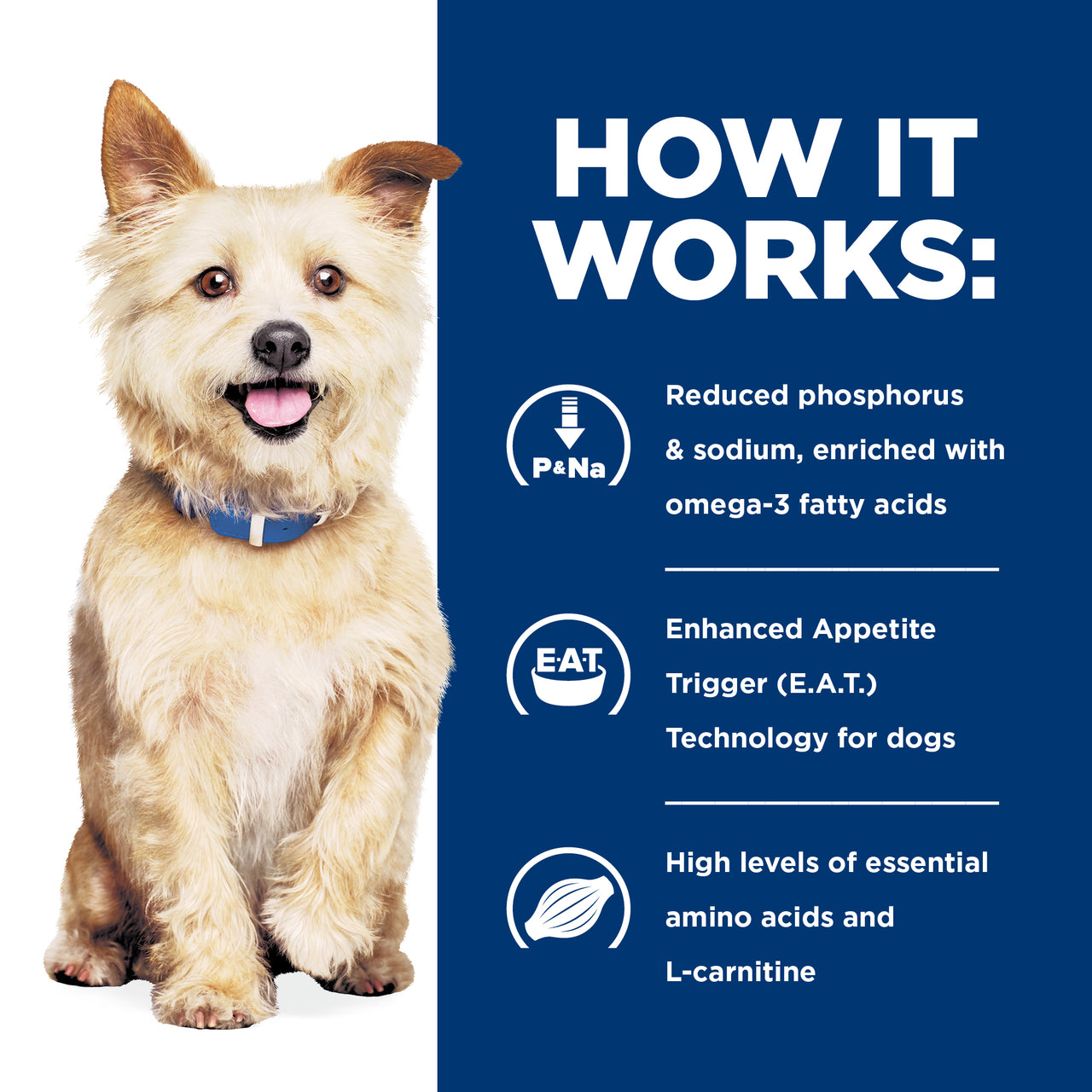 Hill's Prescription Diet k/d Kidney Care Dry Dog Food 3.85 how it works poster, Pet Essentials Warehouse