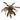 Horemanii Red Sword Live Aquatic Plant, Live Plants,  Live Aquatic Plants,  Pet Essentials Warehouse.