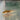 Axolotl Mexican Walking Fish, Live Fish,  Live Axolotyls,  Pet Essentials Warehouse.