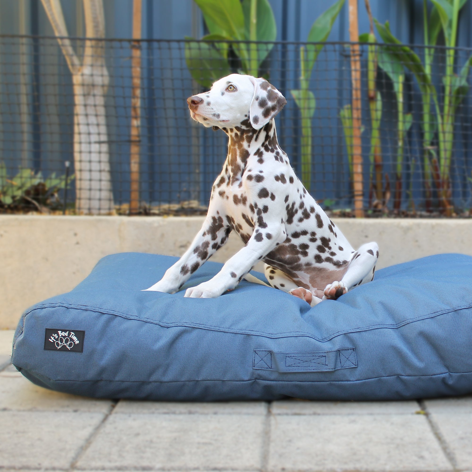Its Bed Time Outdoor Cushion Blue, Dog On bed, Large dog bed, Pet Essentials Warehouse
