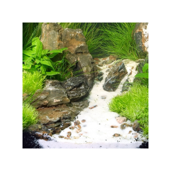 JBL Sansibar White Substrate, Sand in Tank, Pet Essentials Warehouse
