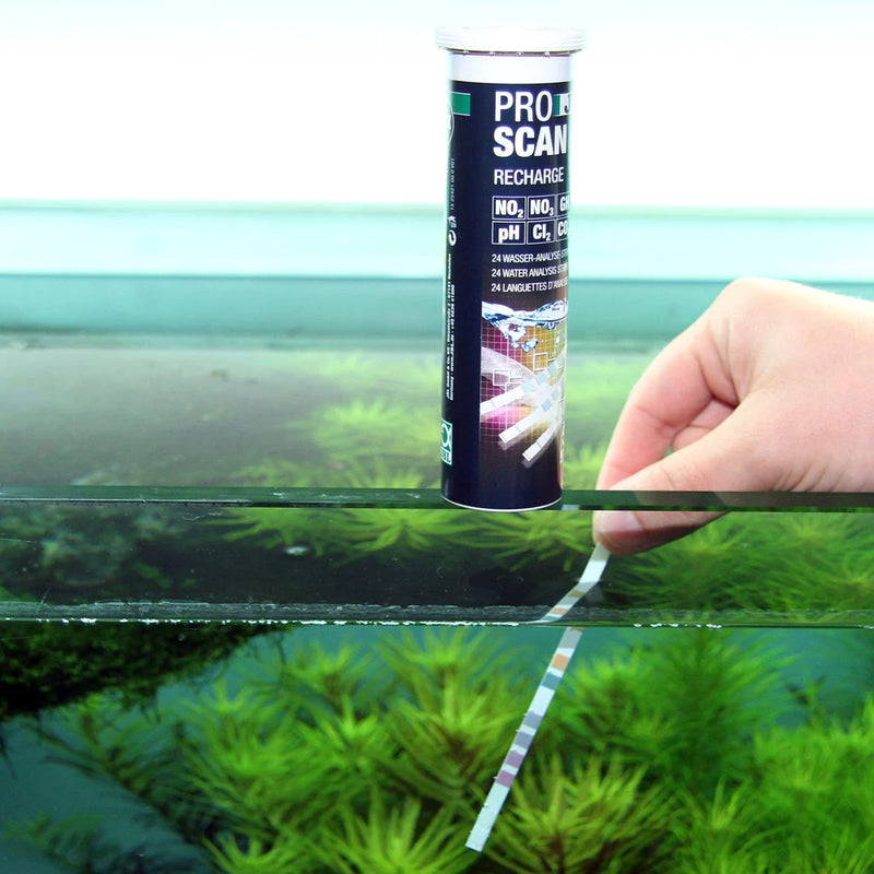 JBL ProScan Smartphone Water Test strip dipped in water, pet essentials warehouse