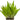 Java Fern Plant for sale website collection image, pet essentials warehouse