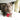 Kong Dental Stick Dog Toy, Kong,  Enrichment Toys,  Pet Essentials Warehouse.