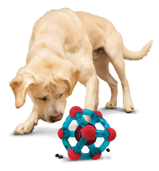 KONG Rewards Tinker Dog Toy, Interactive toys for dogs, dog puzzles, Pet Essentials Warehouse