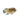 Keyhole Cichlid, Live Fish,  American Cichlid,  Pet Essentials Warehouse.