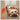 Kong Active Bubble Ball Teaser Cat Toy, Kong,  Plush & Mice Toys,  Pet Essentials Warehouse.
