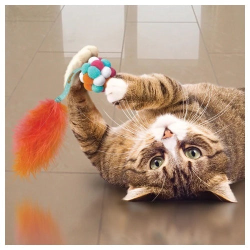Kong Active Bubble Ball Teaser Cat Toy cat playing with toy, pet essentials warehouse