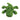 Kong Cozie Ali Alligator Dog Toy, Kong,  Plush Toys,  Pet Essentials Warehouse.