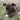 Kong Puppy Ball Dog Toy, Kong,  Fetch Toys,  Pet Essentials Warehouse.