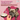 Lazy Dog Pup-Pie Happy Birthday Darling Dog, Esay to break, Pet City