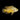 Lemon Oscar, Live Fish,  Oscar,  Pet Essentials Warehouse.