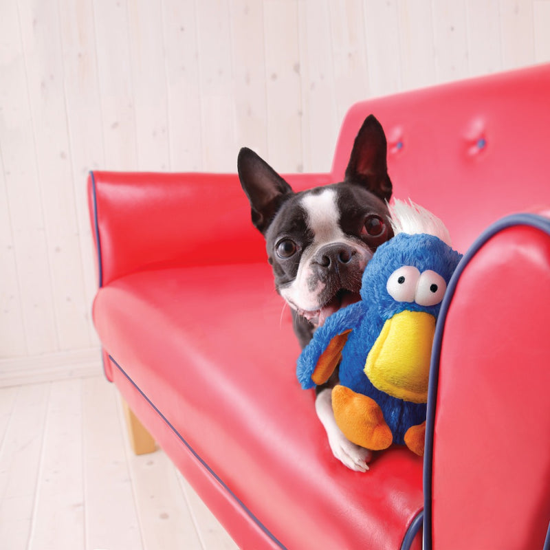 french bulldog on red couch playing with Kong dodo plush bird dog toy, kong plush toys, pet essentials warehouse