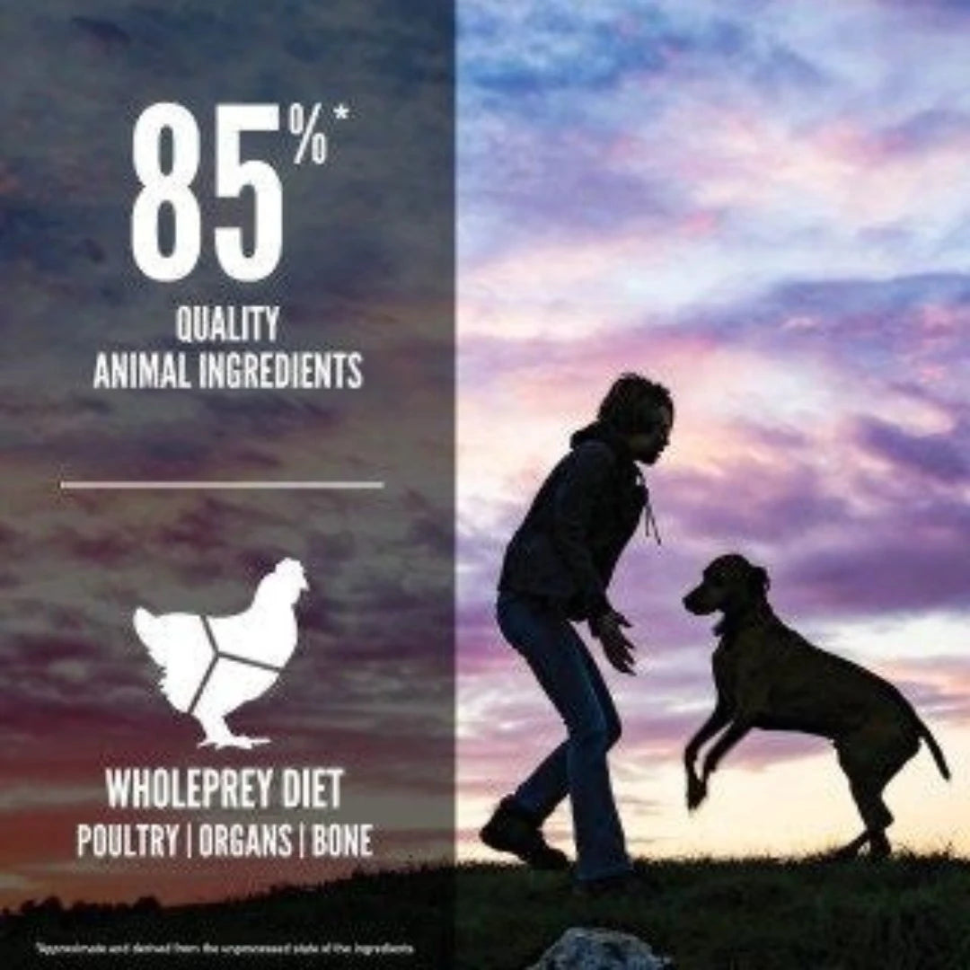 Orijen Puppy Large Breed Dry Dog Food Poster, Pet Essentials Warehouse