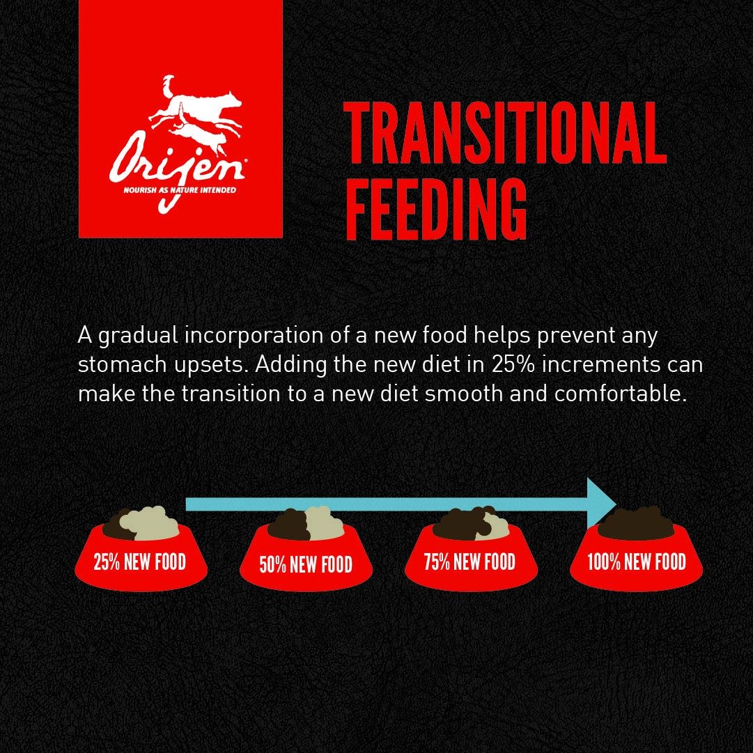 Orijen Tundra Dry Cat Food transitional feeding, pet essentials warehouse