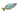 Neon Dwarf Rainbowfish