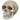 Skull Gazer Assorted, Brooklands,  Aquatic Ornaments,  Pet Essentials Warehouse.