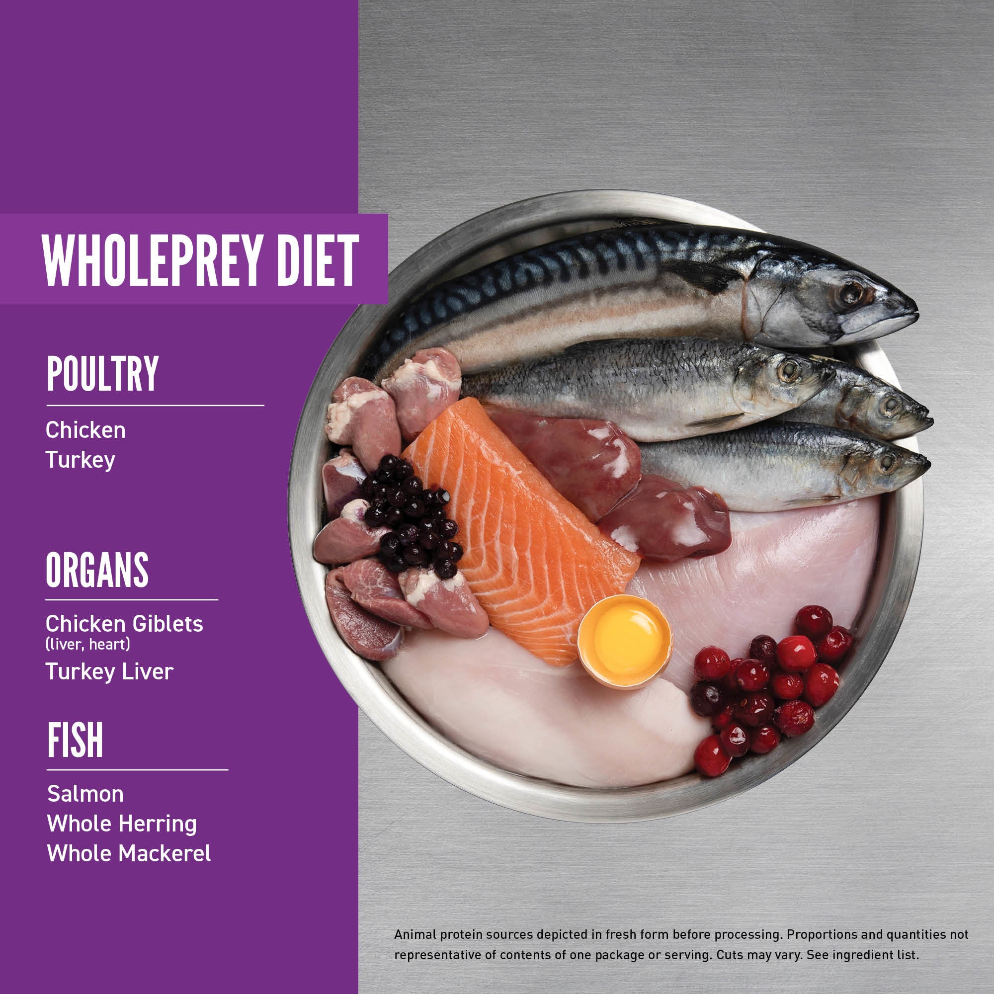 Orijen Kitten Cat Food, Kitten food, Wholeprey diet, Pet Essentials Warehouse