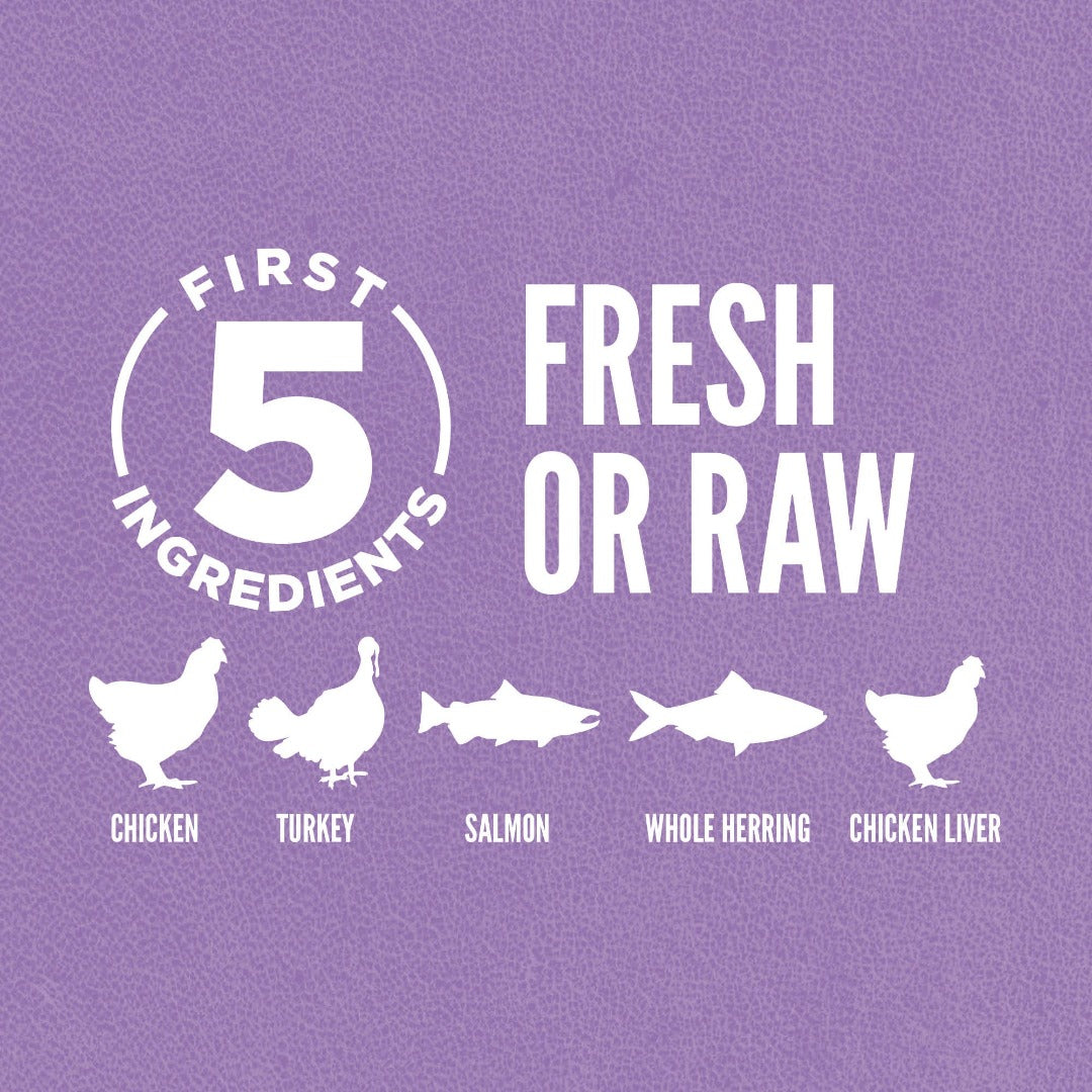 Orijen Kitten Cat Food, first 5 ingredient poster, Pet Essentials Warehouse 